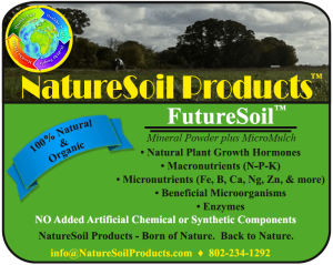 futuresoil