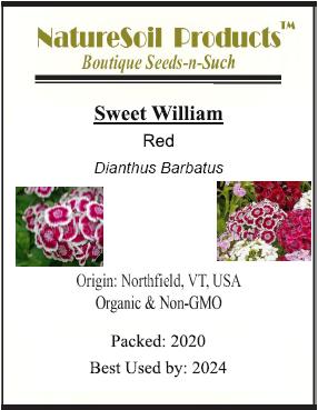 red sweet william front