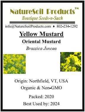 yellow mustard front